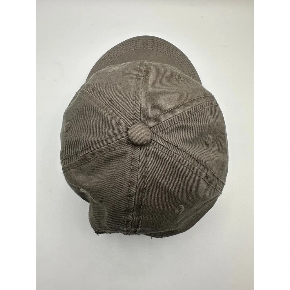 Rare Patagonia Family Experience Employee Exclusive Hat Brown Dad Cap 2016
